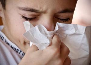 Медики назвали лучшие народные средства при простуде
