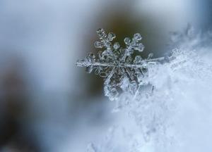 В Киеве выпал первый снег (фото, видео)