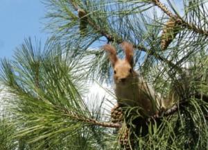 Новый рекорд: 2019 год в Украине оказался самым теплым за всю историю наблюдений