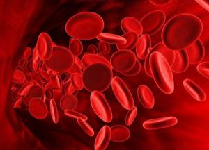 Медики назвали продукты, повышающие уровень гемоглобина в крови