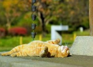 Прогноз погоды на 9 сентября: синоптики порадовали украинцев осенним теплом 