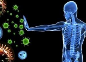 Врачи назвали продукты, которые помогут укрепить иммунитет