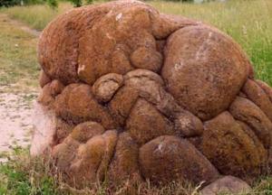 Стала известна причина появления «живых» камней в Румынии