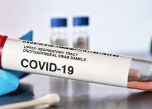 Вирусолог назвал три внутренних органа, которые страдают от COVID-19 больше всего