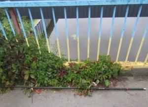 Под Киевом подросток погиб на рыбалке от удара током (фото)