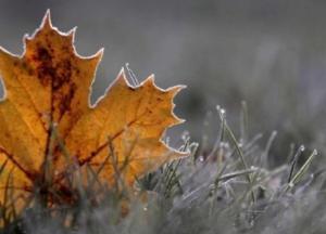 Прогноз погоды на 21 января: осадков не предвидится