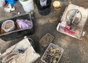В Ровенской области во время обысков обнаружили янтаря на 2 млн грн (фото)