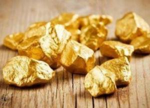 Ученые нашли вид грибов, которые выделяют золото 