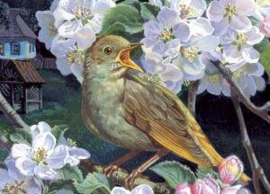 Украинские марки признаны лучшими в Европе