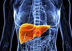 Ученые назвали безвредные привычки, разрушающие печень