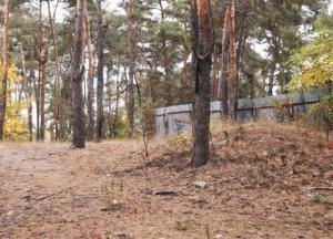 Труп мужчины без штанов обнаружили на дереве в Киеве (фото)