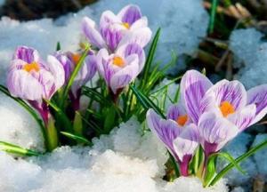 Прогноз погоды на 8 апреля: в Украине немного потеплеет