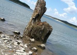 Последствия нехватки воды в Крыму показали в сети (фото)