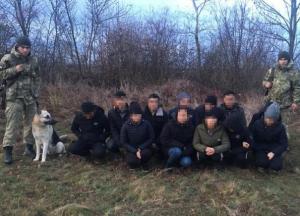 Житель Закарпатья пытался переправить через границу 12 вьетнамцев, выдавая их за диких животных (фото, видео)