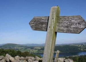Археологи обнаружили древнейший дорожный указатель