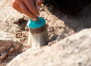 Археологи обнаружили древнейший флот (видео)