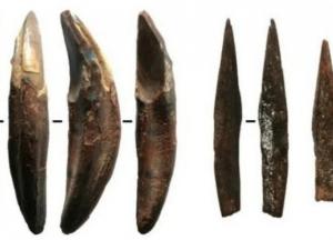 На Шри-Ланке обнаружили уникальную находку