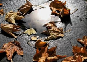 Прогноз погоды на 23 ноября: будут неприятные сюрпризы (карта)