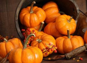 Диетолог рассказала, какими полезными свойствами обладает тыква