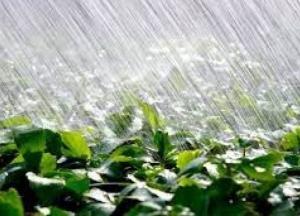 Прогноз погоды на 21 июля: в  Украине грозовые дожди