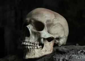 Археологи обнаружили могилу древней амазонки возрастом 2600 лет (фото)