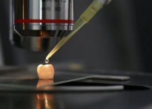 Прощайте стоматологи: впервые удалось вырастить зубную эмаль