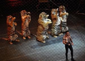 Животных из Национального цирка передадут в частный экопарк