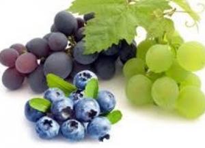 Названы самые полезные ягоды для здоровья легких