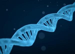 Найдено уязвимое место в геноме COVID-19