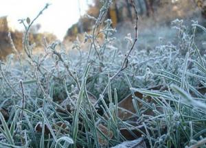 Прогноз погоды на 19 ноября: идет резкое похолодание (карта)