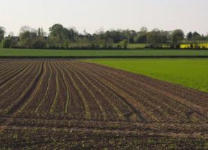 Появились новые фотожабы на открытие рынка земли в Украине