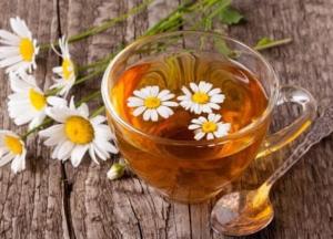 Медики назвали напиток, который восстанавливает организм на клеточном уровне 