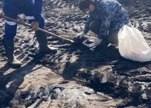 На Сумщине произошел разлив нефти на поле