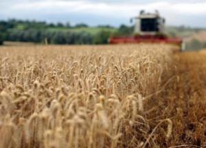 Украина сократила экспорт зерна