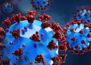 Ученые выяснили скорость мутации коронавируса