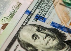 Курс валют на 1 февраля: впервые за три месяца гривна упала до минимума