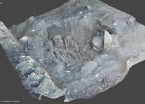 В Мексике обнаружили сотни артефактов майя