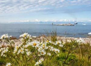 Стала известна причина аномальных холодов в апреле