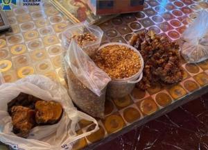 СБУ изъяла у контрабандистов янтарь на более чем 11 млн гривен