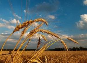 Прогноз погоды на 15 августа: Украину разделят грозы, шквалы, град и 30-градусная жара