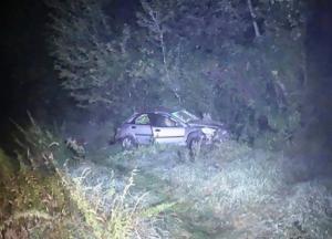 В ДТП на Львовщине погибла 17-летняя девушка