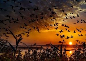 Украину накроют мощные магнитные бури