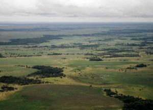 В Амазонии обнаружены следы развитой "протоцивилизации"