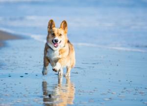 Прогноз погоды на 5 февраля: в Украине снова похолодает