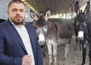 Ослиная афера: как кандидат от Тимошенко Сергей Коровченко скормил жителям Черниговщины тонны колбасы из несъедобной ослятины