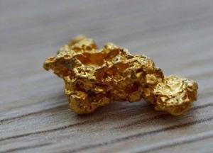 Фирмы отца нардепа из «Слуги народа» с нарушением получили спецразрешения на добычу тантала и золота