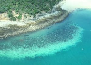 В Австралии ученые обнаружили огромную сеть подводных рек 