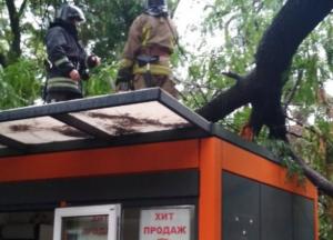 Поваленные деревья и побитые автомобили: что натворила непогода в Одессе
