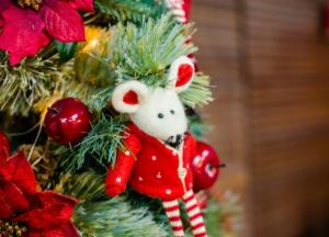 Когда нужно наряжать елку на Новый год 2020