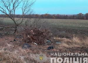 В Херсонской области в ДТП погибли четыре человека: за рулем был подросток